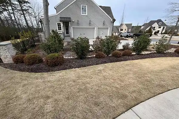 C & J Landscape LLC.'s other services