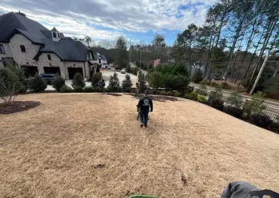 Landscape Services (12)