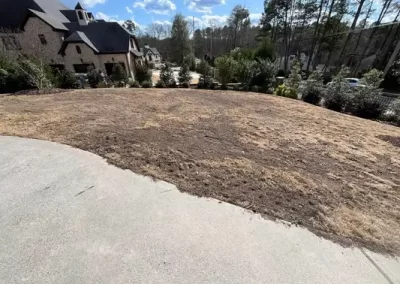 Landscape Services (13)