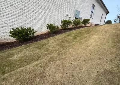 Landscape Services (2)