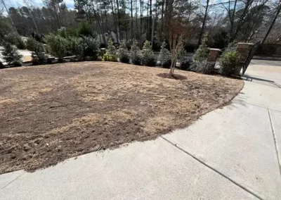 Landscape Services (6)