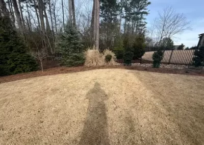 Landscape Services (8)