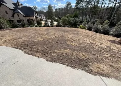 Landscape Services (9)