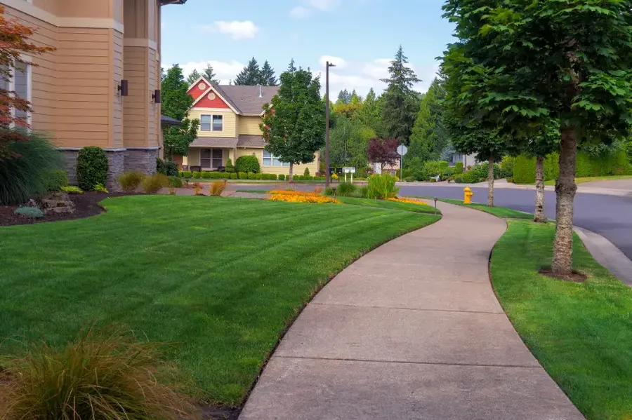 Common Lawn Issues And How Proper Maintenance Resolves Them in Canton, GA