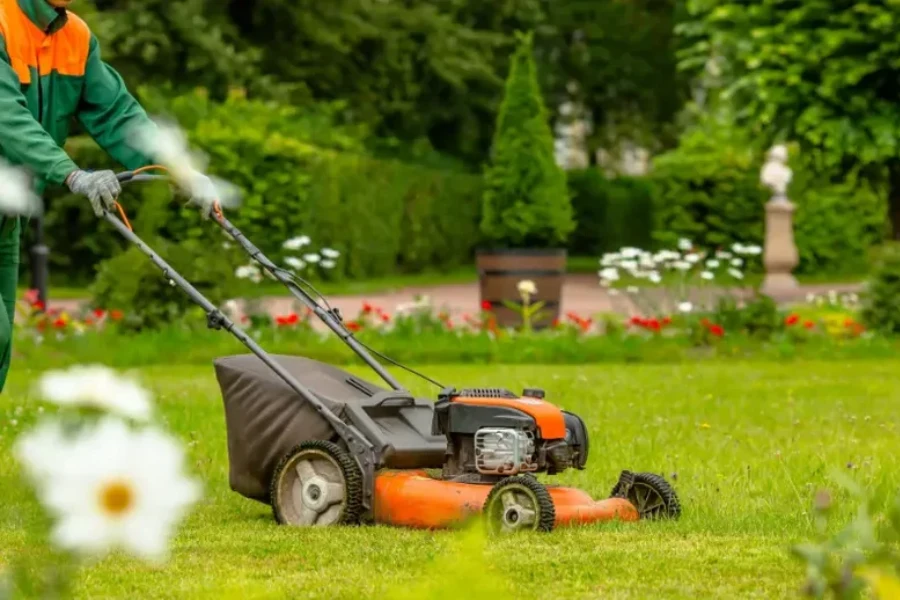 Experienced Lawn Maintenance Canton, GA