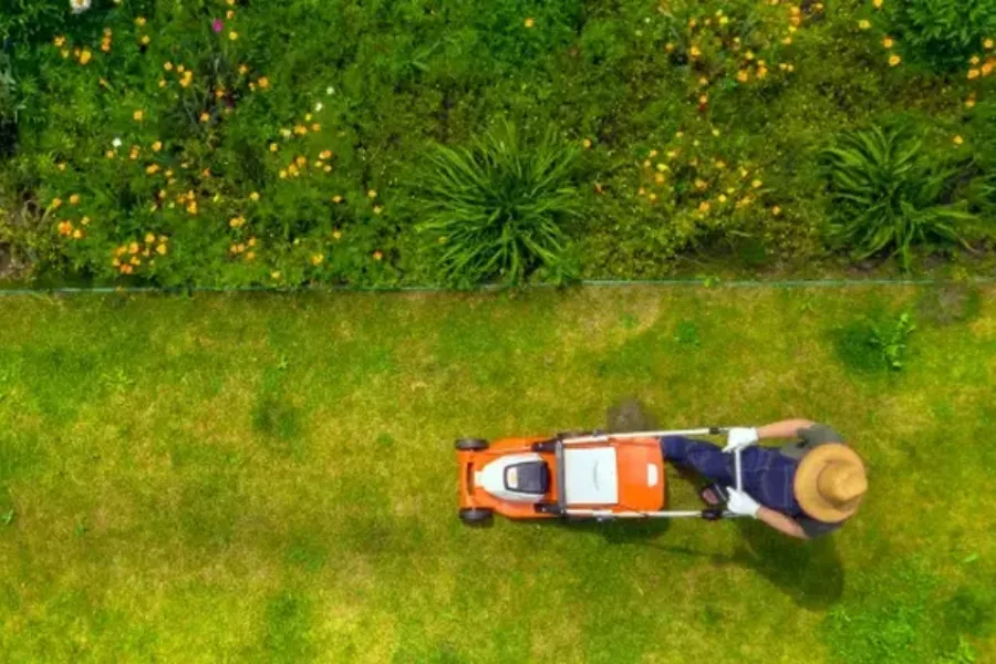 Premium Lawn Maintenance Canton, GA